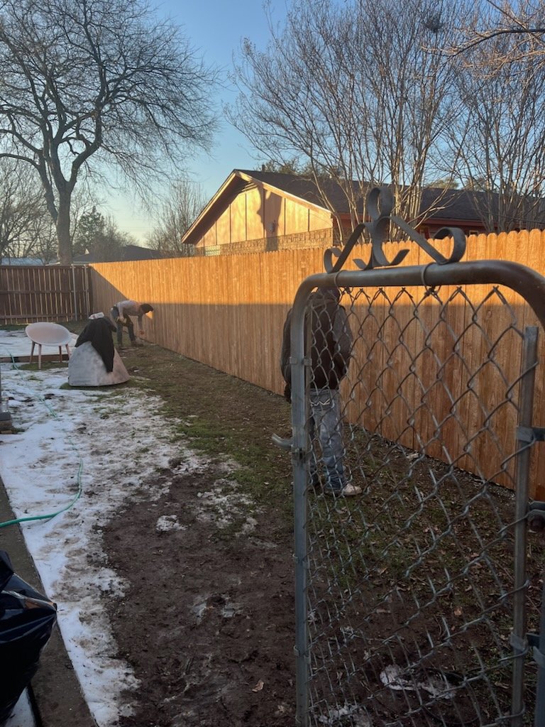 Wooden fence along a backyard