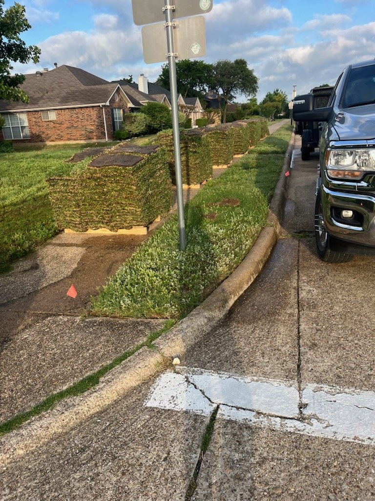 Pallets of sod beside a curb