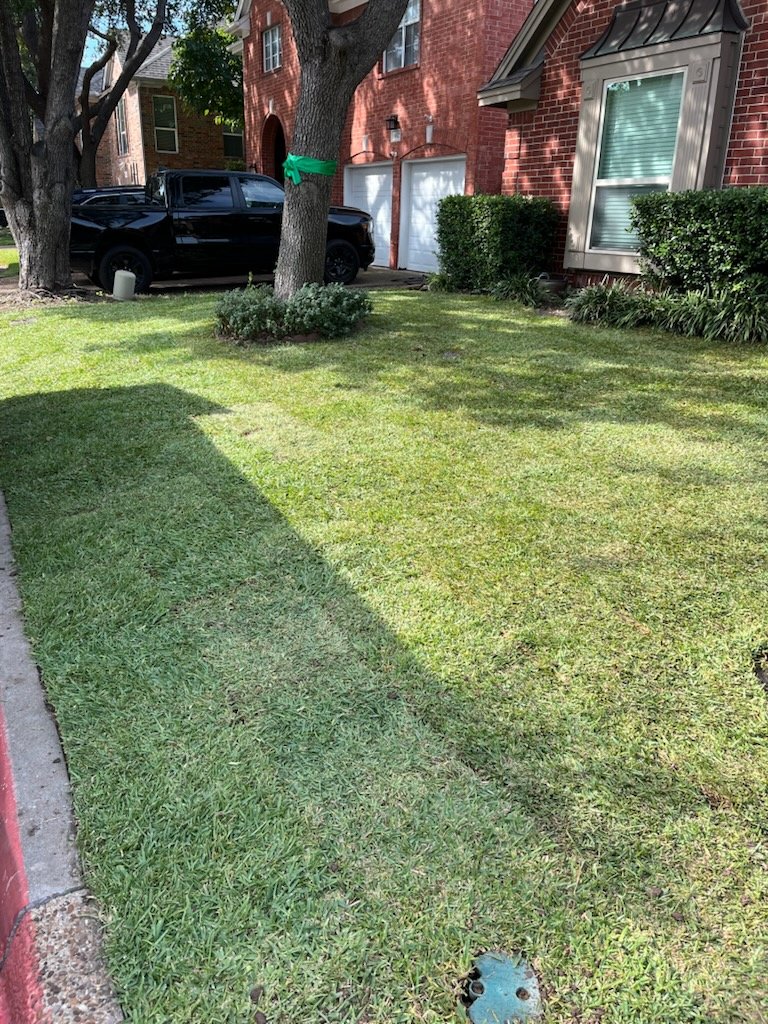 Landscaping service