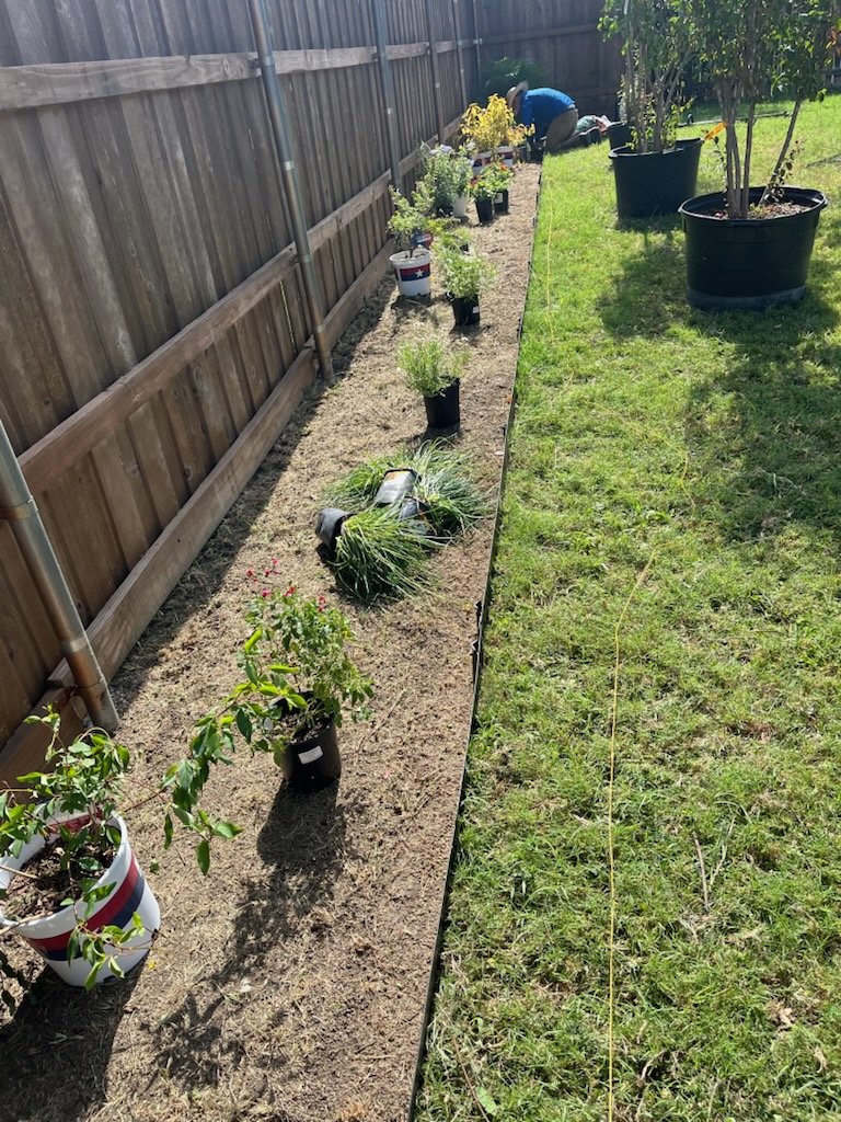Plants arranged beside a prepared planting bed