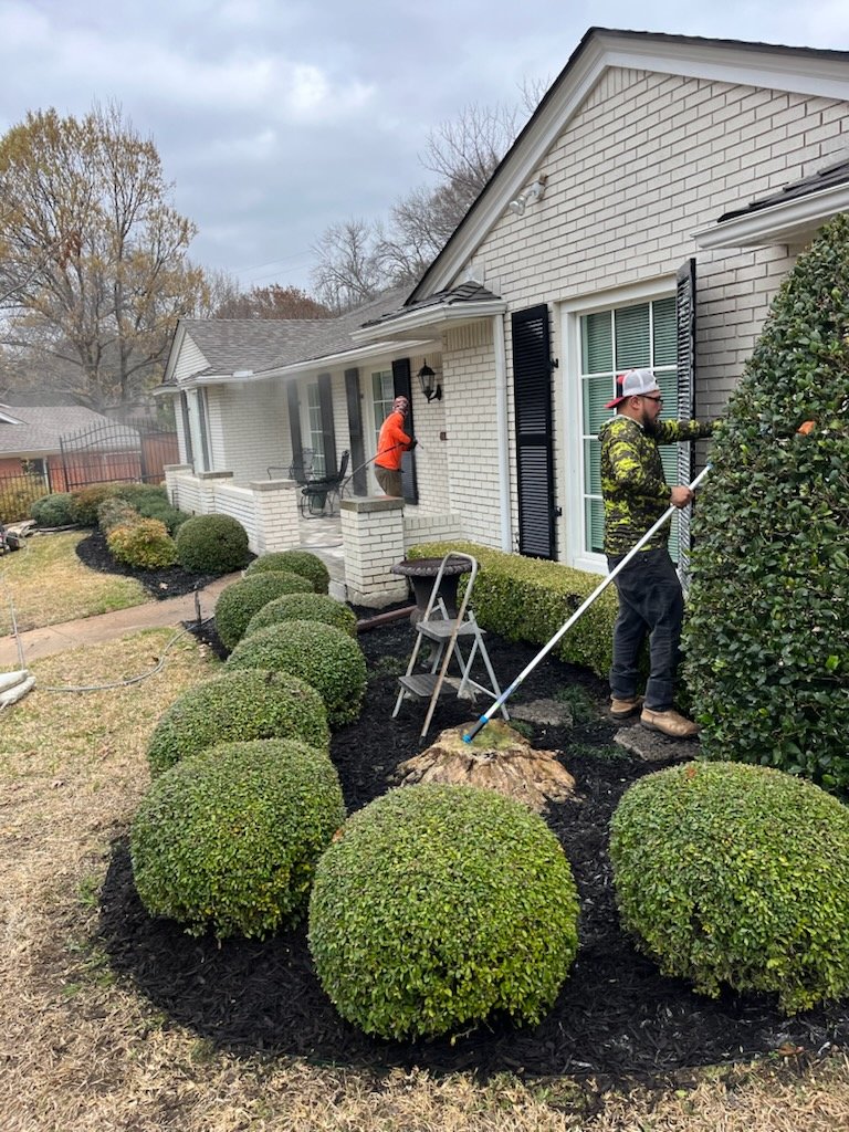 Workers caring for shrubs and planting beds beside a house
