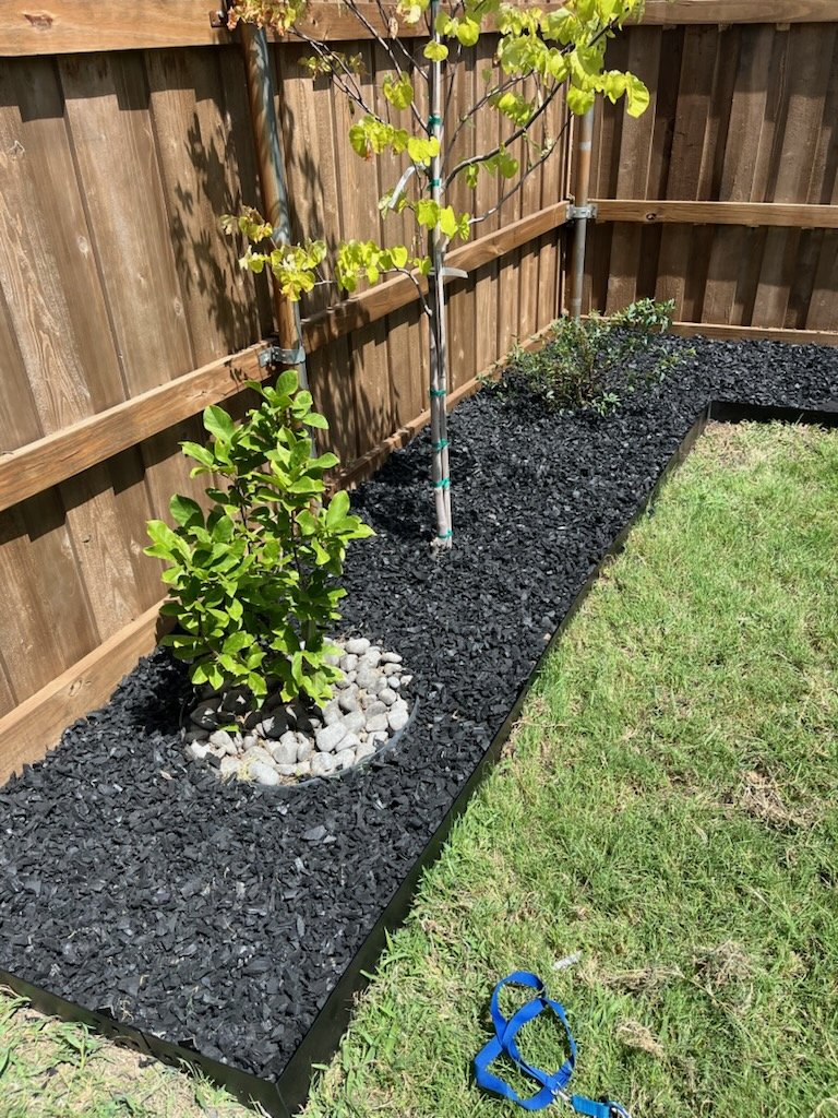 Completed planting bed with black rock and metal edging