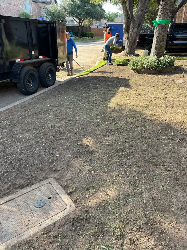 Workers laying sod beside a curb
