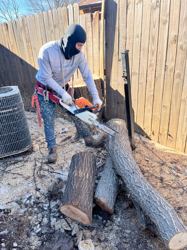 Worker cutting a fallen tree trunk